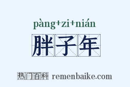 胖子年是什么意思的图片